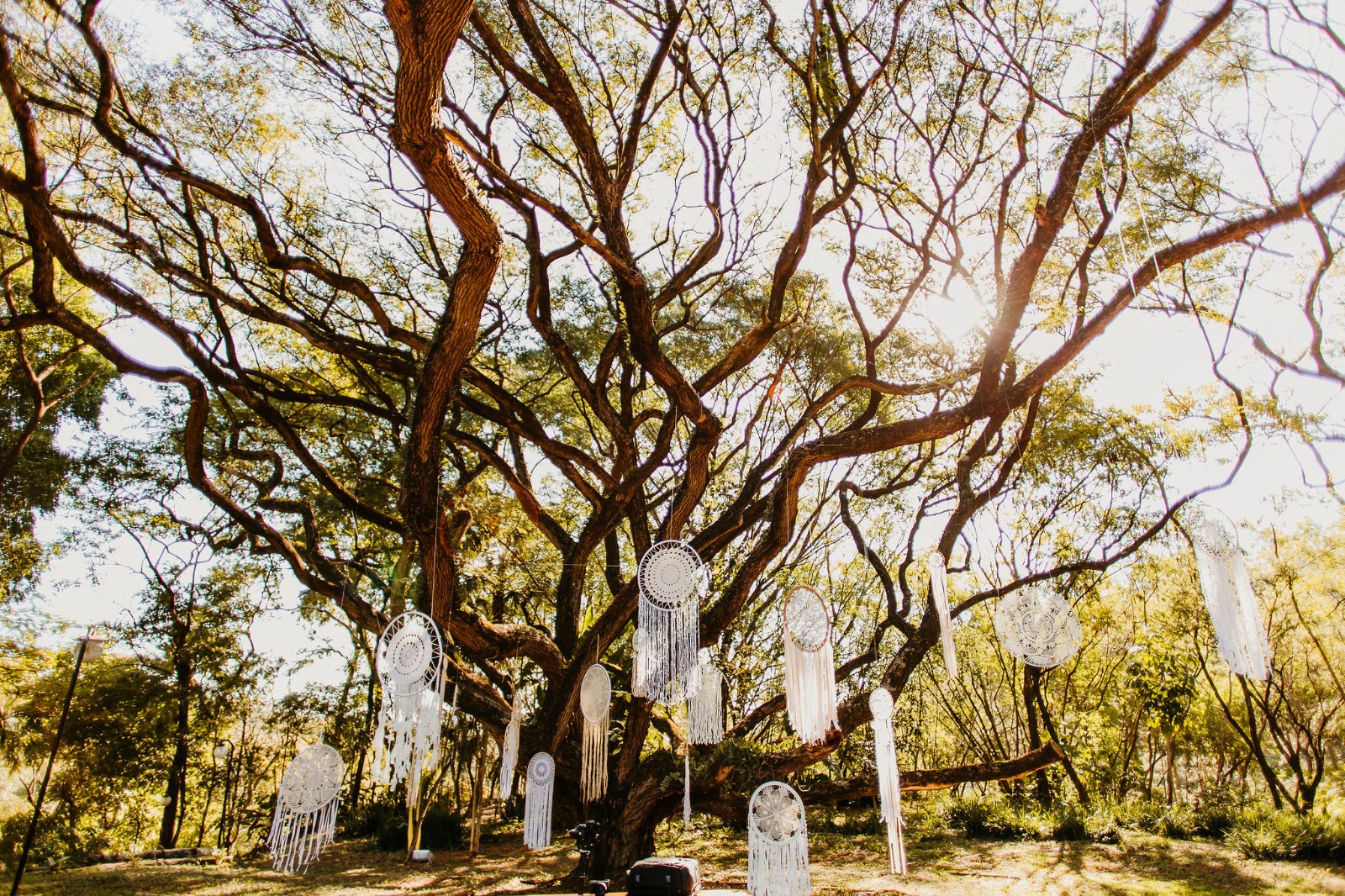 filtros dos sonhos em decoração de casamento boho