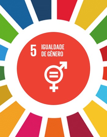 objetivo numero 5 da ONU é igualdade de gênero e é relacionado ao artesanato